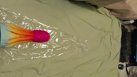 Ylvis88 webcam model stream image