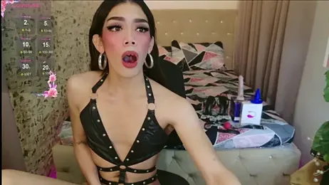ts_alexa_ webcam model stream image