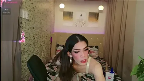 ts_alexa_ webcam model stream image