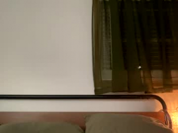 nellatlas webcam model stream image