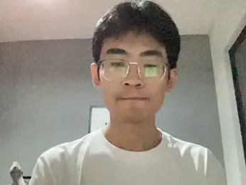 _Libre_ webcam model stream image