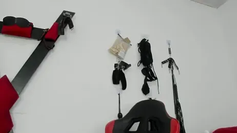 RoughSex_and_BDSM webcam model stream image