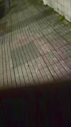 spanishboy2001 webcam model stream image