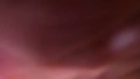 OpulentDesire webcam stripchat model stream image