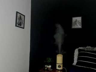 romapalmer webcam model stream image
