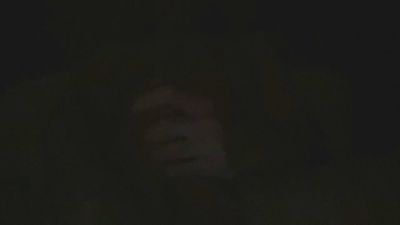 Eaglesss webcam model stream image
