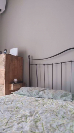 _Dendy_ webcam model stream image