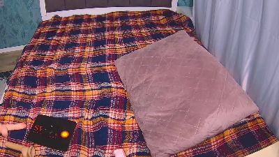 DennisGartman6 webcam model stream image