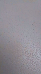 Casalmigles webcam cam4 model stream image