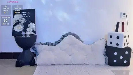 BoxedGyre- webcam model stream image