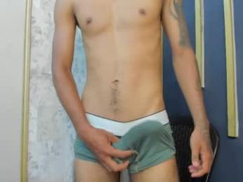 sam_big19 webcam model stream image