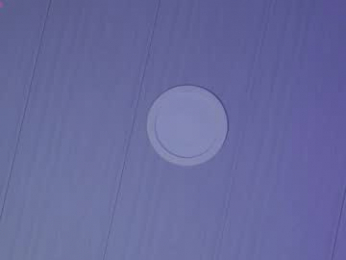 timmyshy webcam model stream image