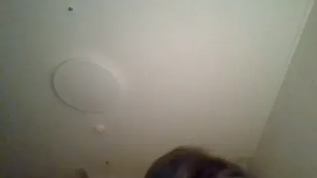 dvoi webcam model stream image