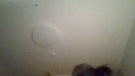 dvoi webcam model stream image