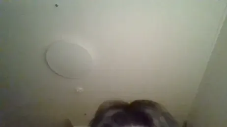 dvoi webcam model stream image