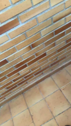 Reshel91 webcam model stream image