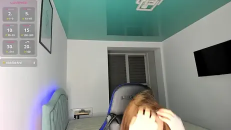 MCfly_11 webcam model stream image