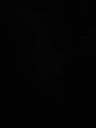 QcMisterv13 webcam preview