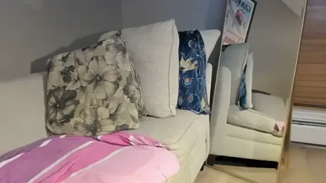 dantes_lion webcam model stream image