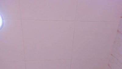 TwoMilkyway webcam model stream image