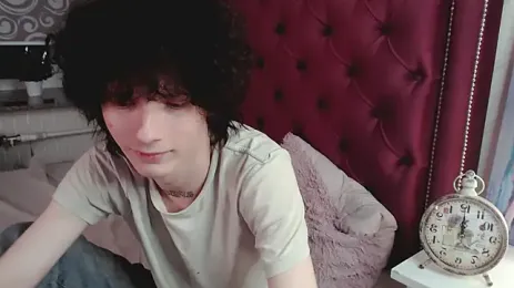 metlVV webcam model stream image
