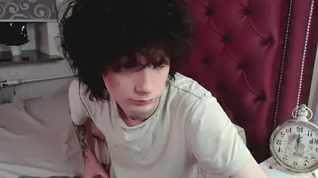 metlVV webcam model stream image
