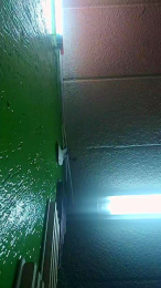 LetsGo_Zarcley webcam model stream image