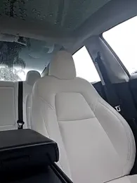 Roddog18 webcam model stream image