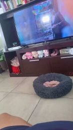 kimyto webcam model stream image
