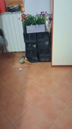 matty2773_sexy webcam model stream image