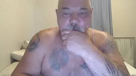 Newfiesausage1972 webcam model stream image