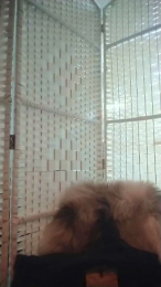 Aleisha23 webcam model stream image
