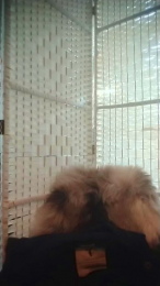 Aleisha23 webcam model stream image
