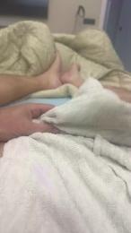 polotto1 webcam model stream image