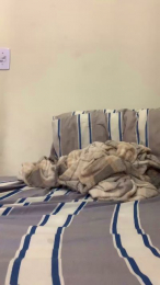 Gustavoalves22 webcam model stream image