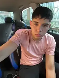 Johan_stick webcam model stream image