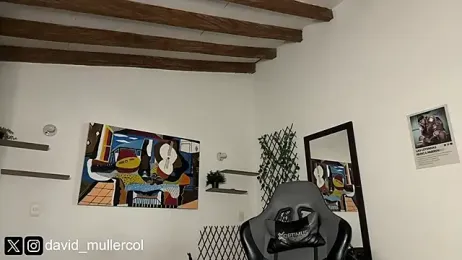 David_Brown18 webcam model stream image