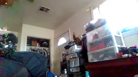 RexMinnie webcam model stream image