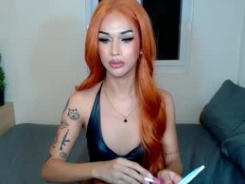 horsecockmadison webcam model stream image
