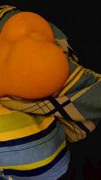 Falk1988 webcam model stream image