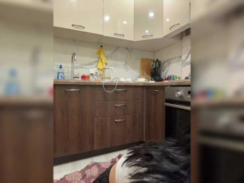 Adel9 webcam bongacams model stream image