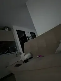 PetitLumiere webcam model stream image