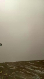 Beppe1992 webcam model stream image