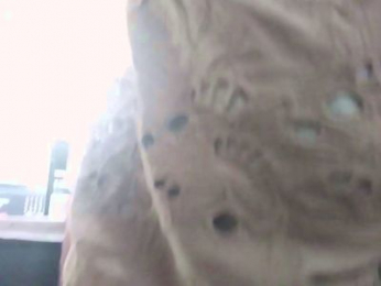 Priscila84 webcam cam4 model stream image