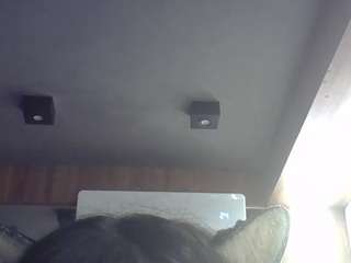 skinnykittencam webcam model stream image