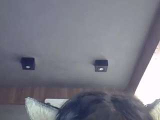 skinnykittencam webcam model stream image