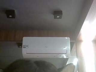 skinnykittencam webcam model stream image