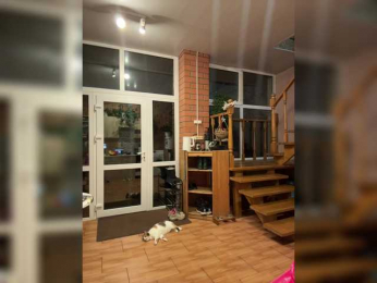 altertyan webcam model stream image