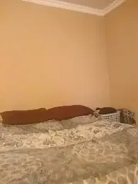 RASS_and_STEWFF webcam model stream image