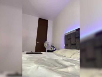 sthef-castle webcam model stream image